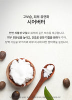 Modols Tight PDRN Hydro Return Essence Cream